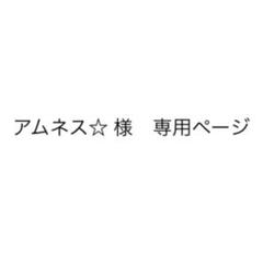 アムネス☆様 専用ページ