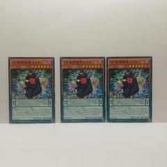 DD魔導賢者二コラ 3枚セット 遊戯王 無言可 レア ノーマル