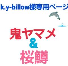 2023年最新】ヤマメ ブローチの人気アイテム - メルカリ