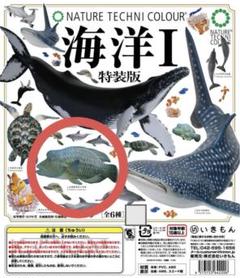 2025年最新】ネイチャーテクニカラー 海洋iの人気アイテム