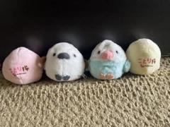 ことり隊 ぬいぐるみ 24体セット 【バラ売り不可】 Amazon.co.jp: ことり隊BIGぬいぐるみ オカメルチノー : おもちゃ