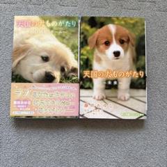 【2冊まとめ】天国の犬ものがたり ～未来～・～HOMEホーム〜
