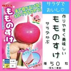 雪ねこ農園～北国の野菜～ - メルカリShops