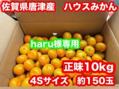 みかんさま専用ページ ➇ haru様専用 佐賀県唐津産 ハウスみかん 10kg4Sサイズ - メルカリ