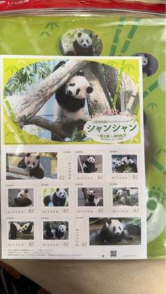 シャンシャン シャオレイ クリアファイル9枚＋マスクケース3枚 上野動物園パンダ 71Flxi+dA3L._UF350,350_QL50_.jpg