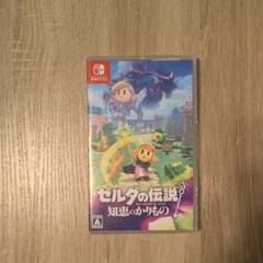 Switch ゼルダの伝説 知恵のかりもの