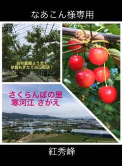 なあこん様専用 紅秀峰
