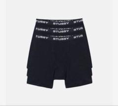 STUSSY LOGO BOXER BRIEFS ブリーフパンツ　S 2枚
