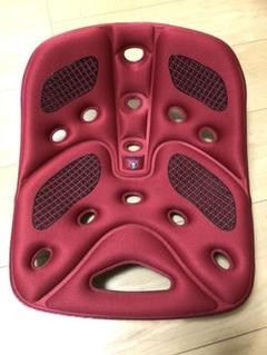 BackJoy Relief レギュラーサイズ