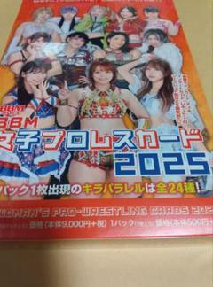 BBM2022 女子プロレスカード 新品未開封ボックス　シュリンク付 BBM2025 女子プロレスカード 新品未開封ボックス シュリンク付き