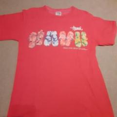 FRUIT OF THE LOOM Tシャツ