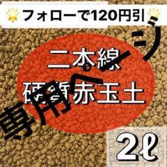 ⭐︎二本線硬質赤玉土 小粒⭐︎ 2ℓ 小粒 多肉植物 サボテン 観葉植物 土