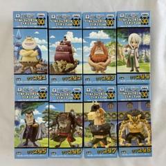 2025年最新】ワンピース ワールドコレクタブルフィギュアvol.30
