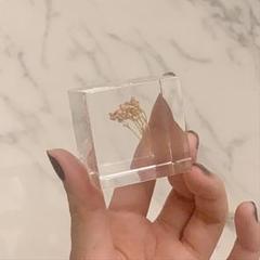sora cube ライスフラワー