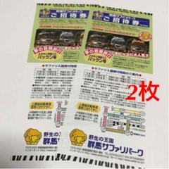 群馬サファリパーク ご招待券 2枚