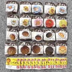 すしあざらし ティンバッヂ 缶バッジ 全20種 フルコンプ 輝く高品質な すしあざらし フルコンプ 全20種 缶バッジ