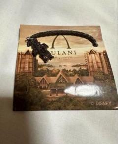 非売品大人気AULANI ポスターセットハワイ　 アウラニホテル　A4 ホノルル 非売品大人気AULANI ポスターセットハワイ アウラニホテル A4