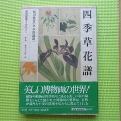 四季草花譜 飯沼慾斎〈草木図説選〉