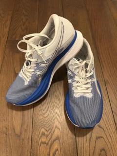 asics S4 新品 26cm 2E 青/白 ストライプシューズ asics S4 新品 26cm 2E 青/白 ストライプシューズ