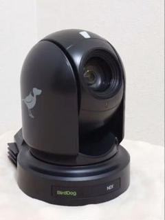 BirdDog Eyes P200、FullNDI対応 PTZカメラ Amazon.com : BirdDog P200 1080p Full NDI PTZ Camera, Black