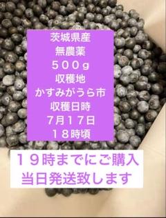 ☆令和7年 生ブルーベリー☆農薬不使用 3kg Zhengli ☆令和7年 生ﾌﾞﾙｰﾍﾞﾘｰ☆農薬不使用 3㌔の通販 by ☆Berry☆'s