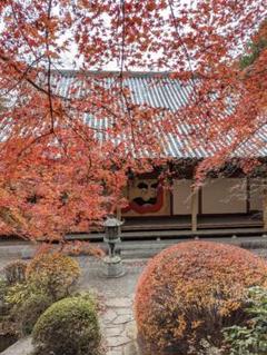 【限定】群馬県 萬松山崇禅寺11月限定ステキな御朱印です