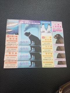 京急油壺マリンパーク 入園招待券4枚セット 2021年3月31日迄