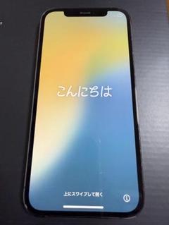 iPhone12Pro 256GB