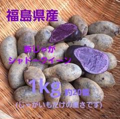 大容量特価！大サイズ20kg！鹿児島産新ジャガイモ 鹿児島県産 新じゃがいも 20キロ 49deb411ea465858d12b6e2a6ce5db