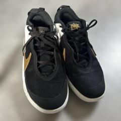 Nike バッシュ CW6735-002 チームハッスル DX-SU21