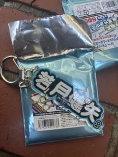 マイナビオールスター　シークレットアクリルネームキーホルダー　若月健矢