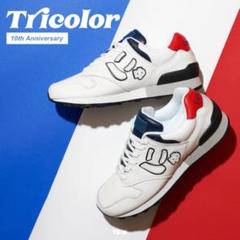 新品 サンガッチョ スニーカー 26cm にゅ～ず トリコロール 10周年記念 ⭐︎新品未使用⭐︎にゅーず『トリコロール』限定品10周年記念