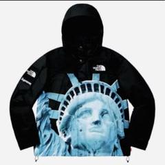supreme マウンテンパーカー　自由の女神 新品 19AW SUPREME × THE NORTH FACE Statue of Liberty