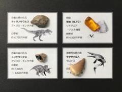 【GINGER掲載商品】 化石 4種 トリケラトプス モササウルス ティラノサウルス [ZE21] その他