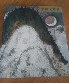 加山又造、カナリヤ、希少画集、高級額付、オーダーマット額装 加山又造・カナリヤ、希少画集、高級額付、オーダーマット額装