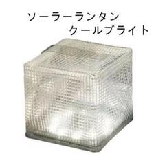 新品未使用　キャリーザサン ミディアム② 2025年最新】キャリーザサンの人気アイテム - メルカリ