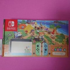 【即日発送】Nintendo Switch 本体 どうぶつの森 セット