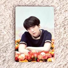 BTS lys ミニフォト コンプリート 2025年最新】bts ミニフォト lysの人気アイテム - メルカリ