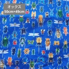 オックス　はぎれ　昆虫　トンボ　ちょうちょ　虫　青