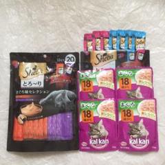おまとめ品…キャット(猫エサ)フード