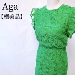 【極美品】Aga　ボタニカル柄　刺繍　ストレッチ　レースワンピース ドレス