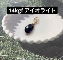 14kgf 高品質アイオライトネックレストップ