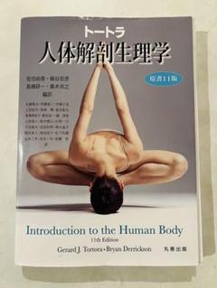 【裁断済】トートラ人体解剖生理学