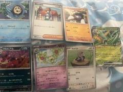 2025年最新】シリーズ：プロモーションカード ポケモンカード