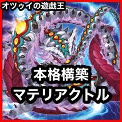 本格構築 マテリアクトルデッキ ギガドラ エクサガルド セアミン ティフォン 本格構築 マテリアクトルデッキ ギガドラ エクサガルド セアミン