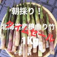 タイムセール!朝採り 北海道産根曲り竹 1Kg