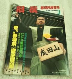 VANVAN相撲界 27冊セット まとめ売り 美品 希少 大相撲 昭和 VANVAN相撲界 27冊セット まとめ売り 美品 希少 大相撲 昭和