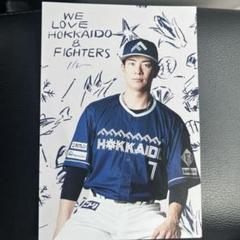 希少　松本剛　ポストカード　北海道日本ハムファイターズ