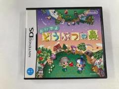 20383 DS おいでよ どうぶつの森 箱・説明書付き