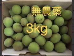♥️十郎梅♥️5キロ　Lサイズ以上きれいめ 予約販売 小田原の やや熟した十郎梅 A 5kg【梅干しに最適